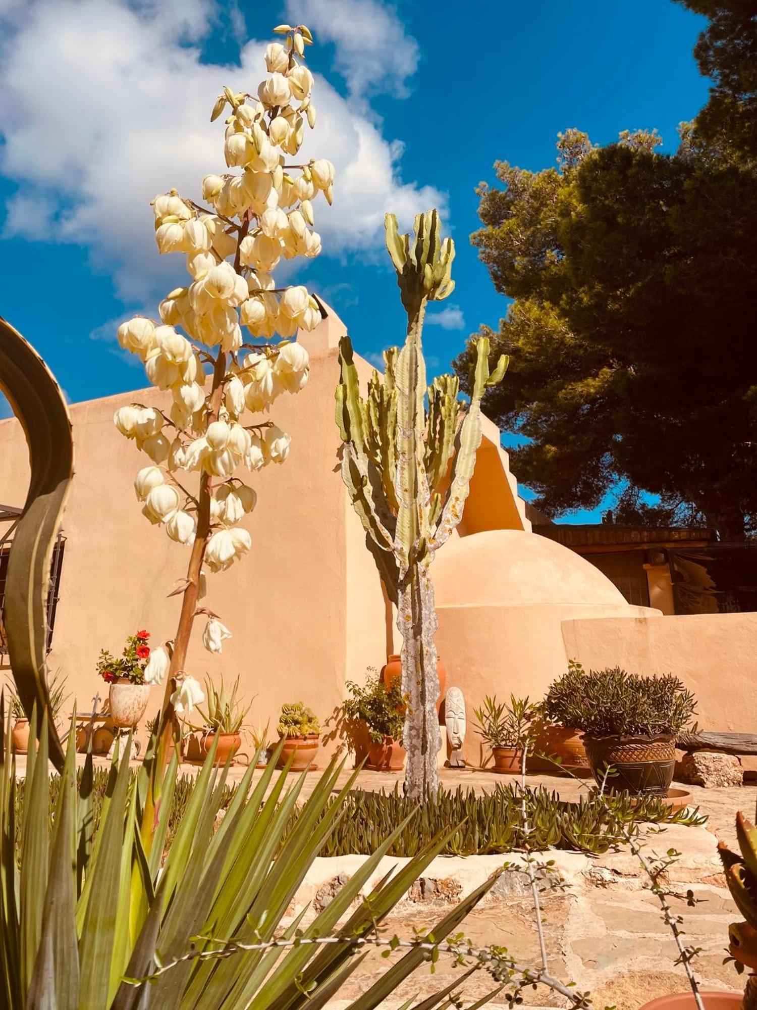 Finca Can Toni Sant Jordi de ses Salines 외부 사진